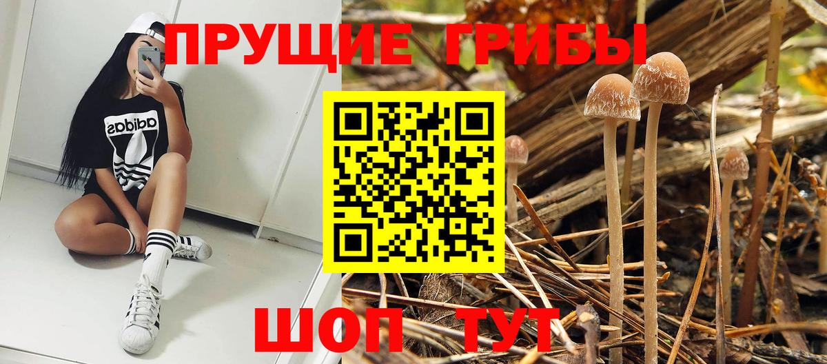 Галлюциногенные грибы ЛСД  Вход с VPN  Лабытнанги 